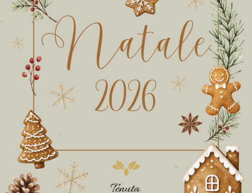 25 DIC – NATALE